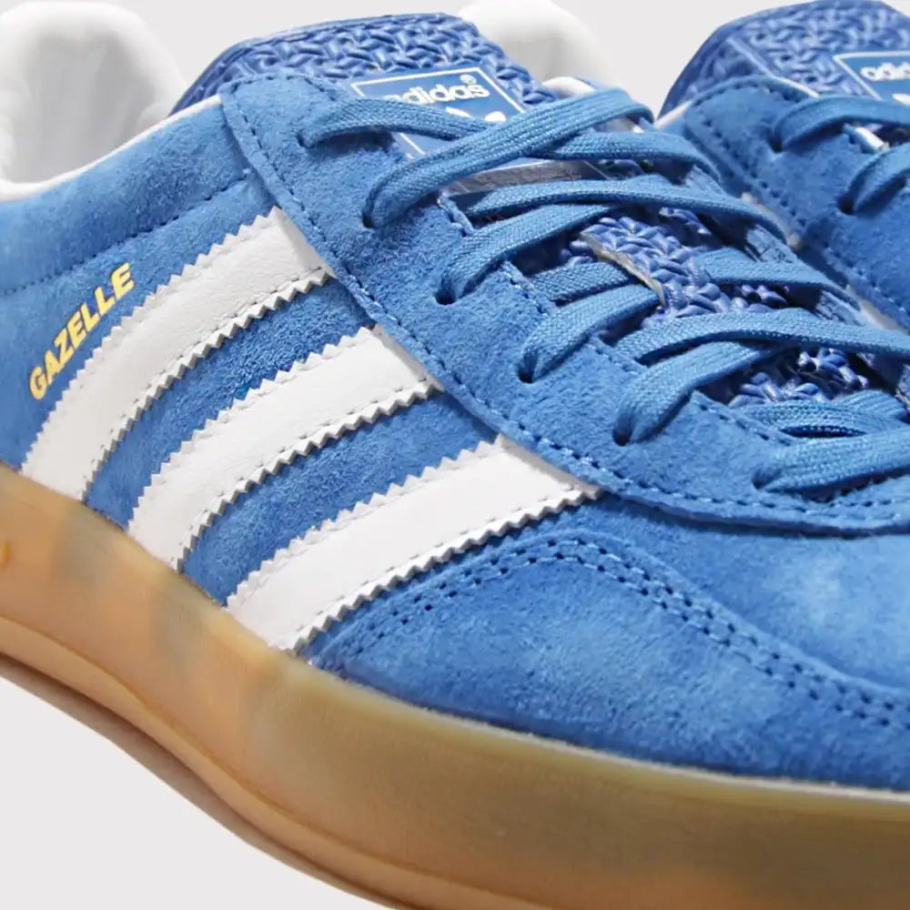 Gazelle Indoor Royal – Blue Exclusivo
